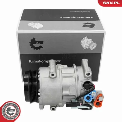 Obrázek produktu pro ESEN SKV 84SKV049 Klimatizační kompresor PAG 46 vhodný pro MERCEDES-BENZ třídy A (W169), třídy B (W245) a třídy C Coupé (C204)