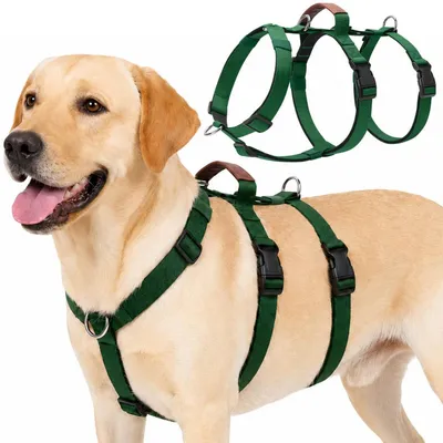 Image de Harnais de sécurité pour chien, anti-fugue, anti-traction, couleur vert foncé, taille L