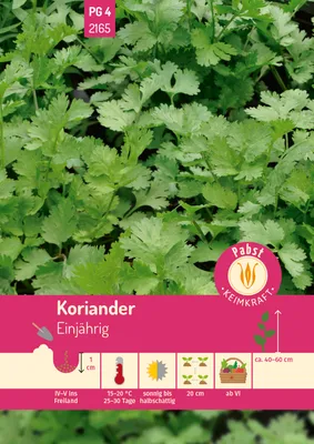 Produktbild von Pabst Keimkraft - Koriander einjährig & feinwürzig Samen - 172165