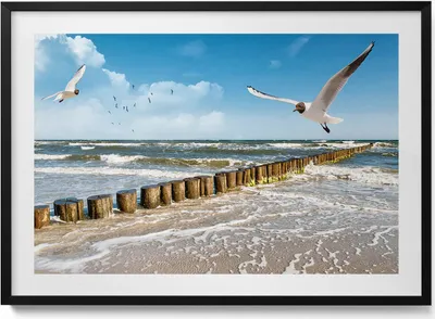 Produktbild von Vogel am Meer– Wandbild mit Rahmen – Gerahmtes Bild  – Wanddekoration – 100x70 cm –  Schwarz Rahmen