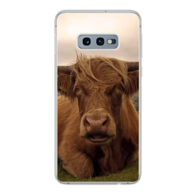 Produktbild von MuchoWow® Handyhülle Schutzhülle Hülle für Samsung Galaxy S10e Schottischer Highlander - Tiere - Berg Silikon Softcase Handy Hülle - Handy