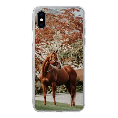 Produktbild von MuchoWow® Handyhülle Schutzhülle Hülle für iPhone Xs Pferd - Baum - Halfter Silikon Softcase Handy Hülle - Handytasche