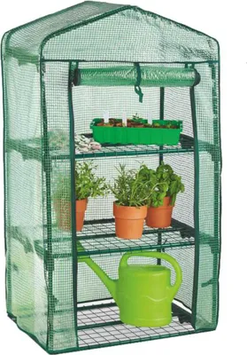 A small greenhouse with plants and gardening tools.