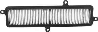 Produktbild von Vicma Luftfilter Einsatz kompatibel mit Suzuki Burgman 125, 150 07-12