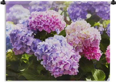 Produktbild von MuchoWow® Wandteppich Wandbehang Blumen - Hortensie - Rosa - Blätter - Sonne 60x45 cm Tapisserie Dekoration Wandtuch - Das Schlafzimmer
