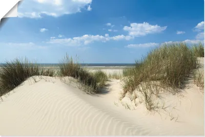 Produktbild von ARTland Poster Düne mit Meeresblick Größe: 60x40 cm