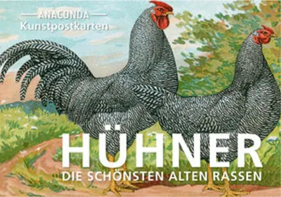 Image de Postkarten-Set Hühner