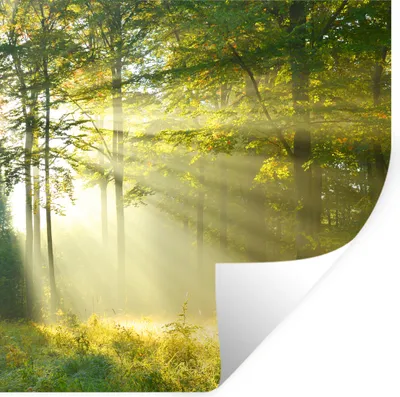 Produktbild von MuchoWow® - Selbstklebend - Fototapeten