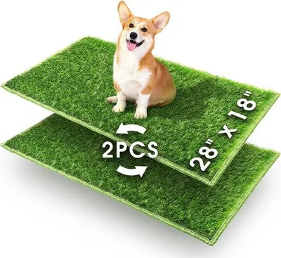 Produktbild von Famanu Hundetoilet Trainingsmat für Welpen - 76 x 51 x 6,5 cm