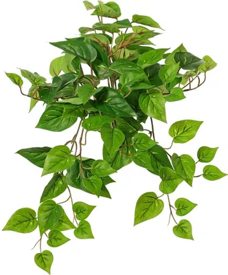 Produktbild von artplants.de Künstliche Pflanze Efeututen Hänger Shelley auf Steckstab, Eco Collection, grün, 55cm - Dekopflanze