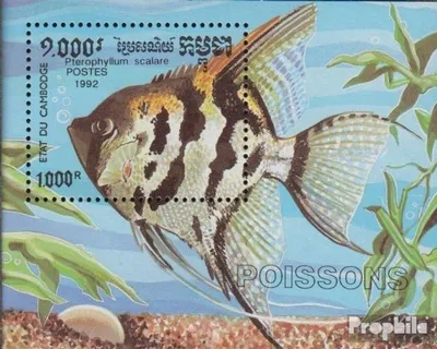 Produktbild von Briefmarken Kambodscha 1992 Mi Block188 (kompl.Ausg.) postfrisch Zierfische