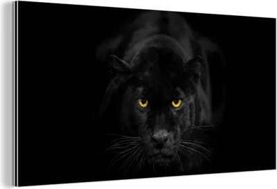 Produktbild von MuchoWow Wanddekoration Metall Metallbild Wandkunst 120x60 cm Panther - Tiere - Schwarz - Augen MuchoWow Aluminium Gemälde - Metalbilder