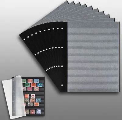 Produktbild von Prophila Collection 20 Einsteckseiten auf 10 Blättern, 9zeilig schwarzer Karton und je 2 Pergamin-Zwischenblättern pro Blatt
