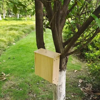 Produktbild von Fledermauskästen aus Holz für den Außenbereich, wetterfest und stabil