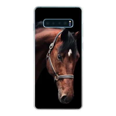 Produktbild von MuchoWow® Handyhülle Schutzhülle Hülle für Samsung Galaxy S10 Lite Pferd - Halfter - Braun Silikon Softcase Handy Hülle - Schutz