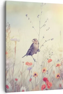 Produktbild von Bild auf Leinwand - Leinwandbild - Einteilig - Vogel Wildschwein Wiese - 50x70cm - Wand Bild - Wanddeko - Wandbilder - Leinwanddruck - Wanddekoration - Leinwand bilder - Wandbild - PA50x70-4279