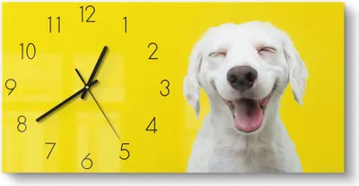 Produktbild von DEQORI Glasuhr 60x30 cm Zahlen 'Lachender Hund' Wanduhr Glas Uhr Design leise