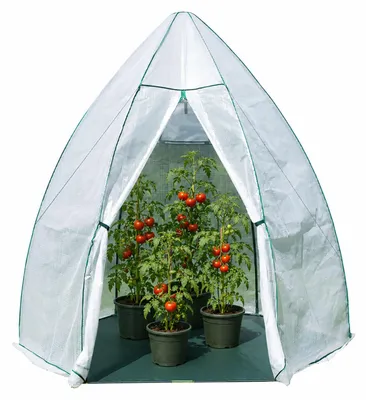 Produktbild von Westmann Überwinterungszelt & Foliengewächshaus Avocado Weiß 250x250x250 cm