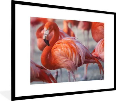 Produktbild von MuchoWow® Gerahmtes Poster Flamingo - Vogel - Tiere - Rosa 80x60 cm - Poster mit Schwarzem Bilderrahmen Wandposter Rahmen Foto Bilder - Schlafzimmer-Dekorationen - Fotoposter