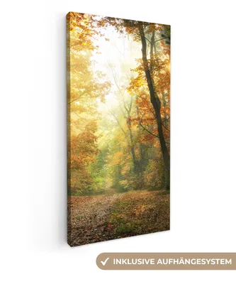 Produktbild von MuchoWow® - Leinwandbilder - Wald - Herbst - Sonne - Landschaft - Natur - Bäume - Laub, Wandbild, Wanddeko Bilder Wohnzimmer, 40x80 cm