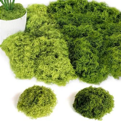 Zdjęcie produktu dla Zestaw sztucznej mchu 200 g, ciemnozielony i jasnozielony, do dekoracji, rękodzieła i modelarstwa