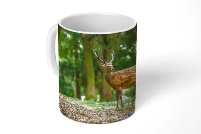 Produktbild von KitchenYeah® Tasse Kaffeetasse Kaffeebecher 350 ml Rotwild - Wald - Tier Teetasse - Fototasse - Becher - Keramikbecher - Teebecher - Kaffeetasse - Bürotasse