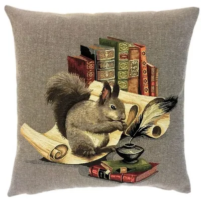 Immagine prodotto di Cuscino Gobelin Scoiattolo con libri