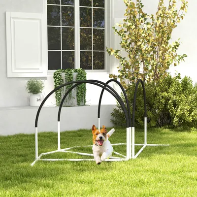 Produktbild von Hunde Agility Set 4-teilig, Hundetraining Hindernisparcours, PE/ABS Kunststoff, Weiß+Schwarz | 89x69x99 cm | 3,5 kg | mit Oxford-Tragetasche