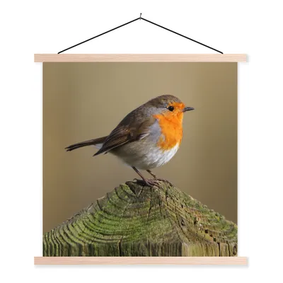 Produktbild von MuchoWow® Textilposter Vogel - Rotkehlchen - Holz 40x40 cm mit holzfarbenen Rahmen - Posterleiste