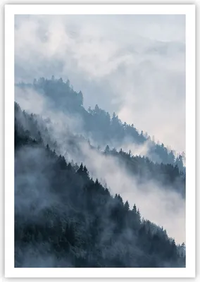 Produktbild von Poster - Poster ohne Rahmen - Berge Nebel Bäume - 70x100 cm - Wand Bild - Wanddeko - Wandbilder - Kunstposter - Wandposter - Bilder - Kunstdruck - Wanddekoration - Wandbild - P2XPA70x100-4429