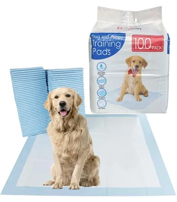 Immagine prodotto di Solidchoice - Pannolini assorbenti per cuccioli (100 pezzi)