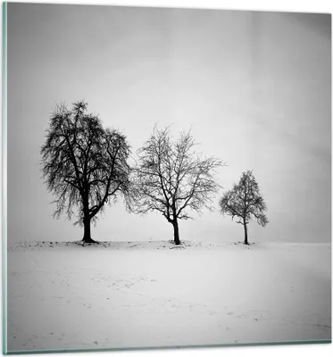 Produktbild von Bilder auf glas - Einteilig - Winter Bäume Schnee - 50x50cm - Glasbilder - Wandbilder - Bilder - zum Aufhängen bereit - Wanddekoration aus Glas - Glas Bilder - Wandbild auf Glas - GAC50x50-4958