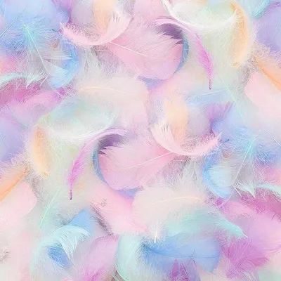 Produktbild von 600 Stück Kunsthandwerk Federn; Makkaronfarben; Naturfedern; Dekofedern für DIY Kunsthandwerk; Traumfänger; Kopfschmuck; Ohrringe; Frühlingsblumen; Hochzeit; Weihnachten; Partydekoration