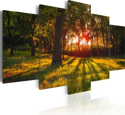 Produktbild von Modernes Wandbild c-A-0076-b-p (100x50) - 5 Teilig Bilder Fotografie auf Vlies Leinwand Foto Bild Dekoration Wand Bilder Kunstdruck WALD NATUR LANDSCHAFT SONNENSCHEIN BÄUME