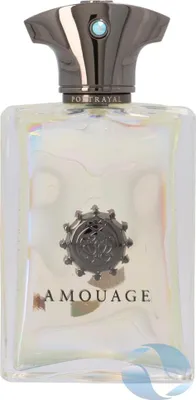 Produktbild von Amouage Portrayal Eau de Parfum für Herren 100 ml