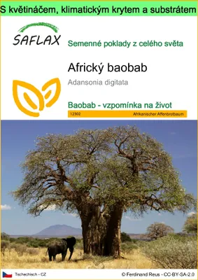 Obrázek produktu pro SAFLAX Garden to go - Africký baobab - Adansonia digitata - 6 Semena - S květináčem, klimatickou poklicí a pěstebním substrátem
