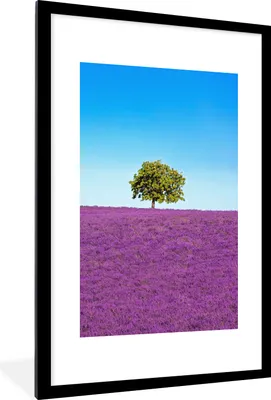 Produktbild von MuchoWow® Gerahmtes Poster Baum - Lila - Himmel - Lavendel 60x90 cm - Poster mit Schwarzem Bilderrahmen Wandposter Rahmen Foto Bilder - Dekoration - Wandposter Wohnzimmer - Hochwertig