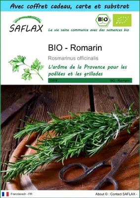 Image de SAFLAX Ensemble-cadeau -- Romarin - 40 graines - Rosmarinus