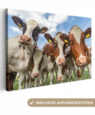 Produktbild von MuchoWow® - Leinwandbilder - Kühe - Tiere - Wiese - Natur, Wandbild, Wanddeko Bilder Wohnzimmer, 120x80 cm