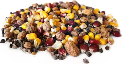 Produktbild von Platina Partikel Mix 2,5KG | Karpfen futter