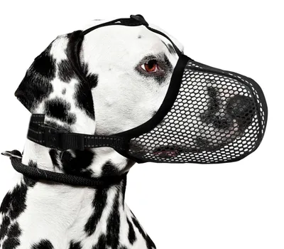 Immagine prodotto di Museruola morbida per cani con rete traspirante, colore nero, taglia L
