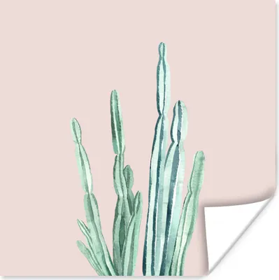 Produktbild von MuchoWow® Poster Kaktus - Sukkulenten - Rosa 50x50 cm - Wohnzimmerdekoration