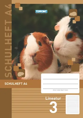 Produktbild von Schulheft DIN A4 Lineatur 3 3.Schuljahr
