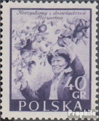 Produktbild von Briefmarken Polen 1954 Mi 870 gestempelt Freundschaft mit Sowjetunion