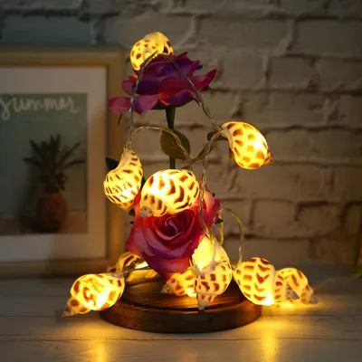 Obrázok produktu pre Conch Shape 10LED String Lights BatteryPowered pre vnútorné vonkajšie narodeniny svadobné teplé svetlo