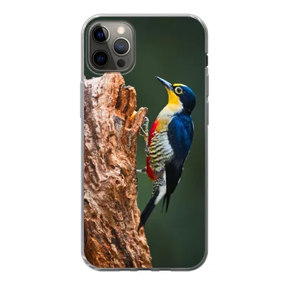 Produktbild von MuchoWow® Handyhülle Schutzhülle Hülle für iPhone 13 Pro Max Nahaufnahme eines bunten Vogels auf der Seite eines Baumstamms Silikon Softcase Handy Hülle - Mobiltelefon