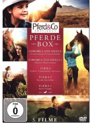 Produktbild von Pferde Box