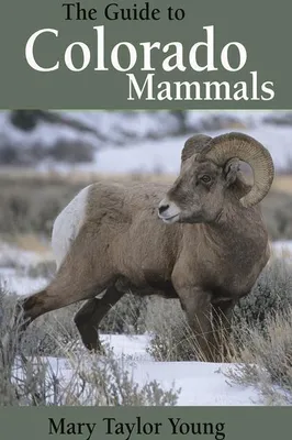 Produktbild von The Guide to Colorado Mammals