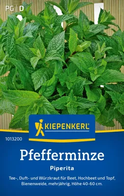 Produktbild von Kiepenkerl Pfefferminzesamen Piperita Mentha piperita 200 Pflanzen