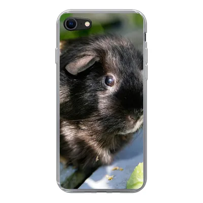 Produktbild von MuchoWow® Handyhülle Schutzhülle Hülle für iPhone 7 Meerschweinchen im Garten Silikon Softcase Handy Hülle - Kartenhalter